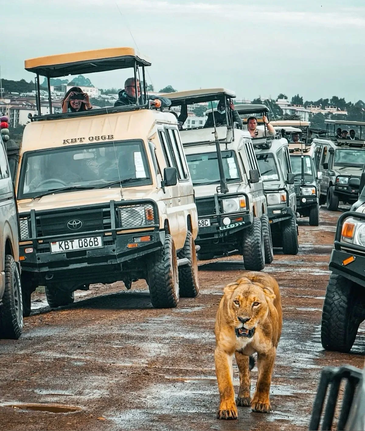 Customary Time to Tip